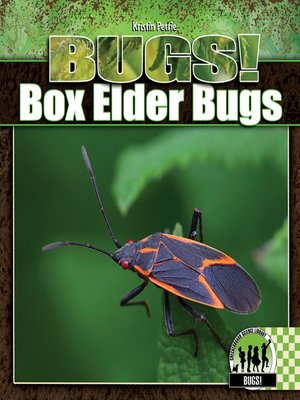 cover image of Box Elder Bugs